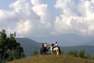  Descubrimiento de las zonas de baño 